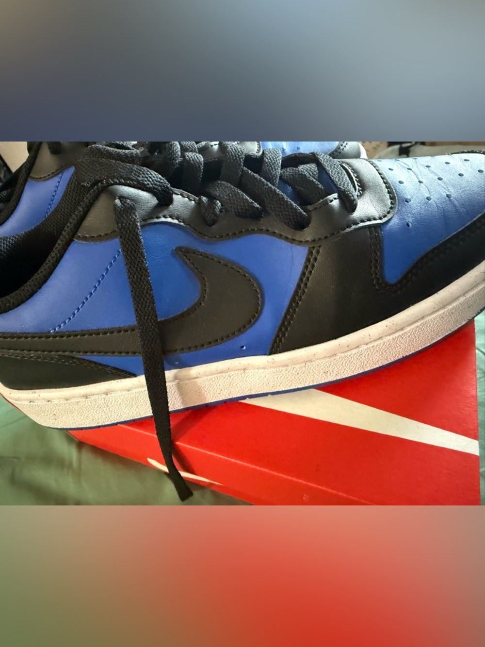 Nike Black and Blue Low-Top Sneaker